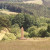 Kunst in der Landschaft I
