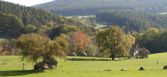 Kunst in der Landschaft