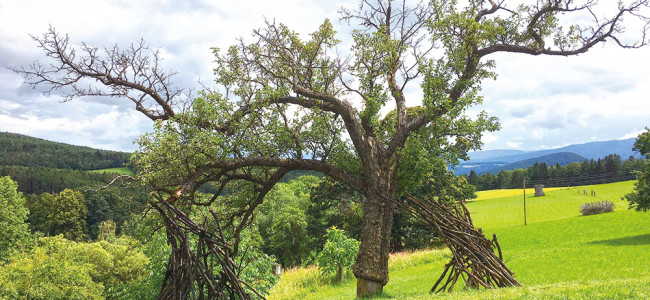 Kunst in der Landschaft